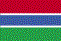 Flag of Gambia, The
