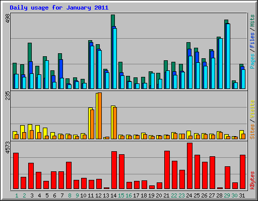 Daily usage for January 2011