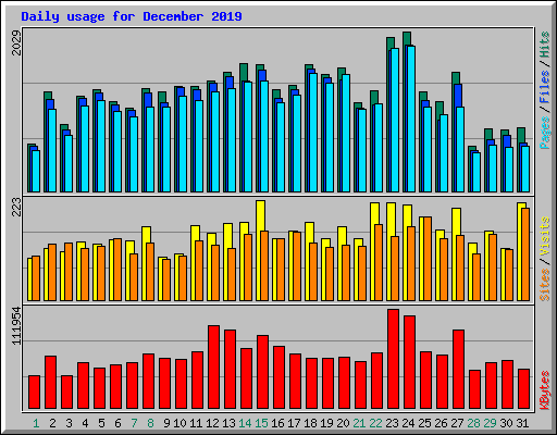 Daily usage for December 2019