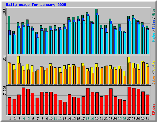 Daily usage for January 2020