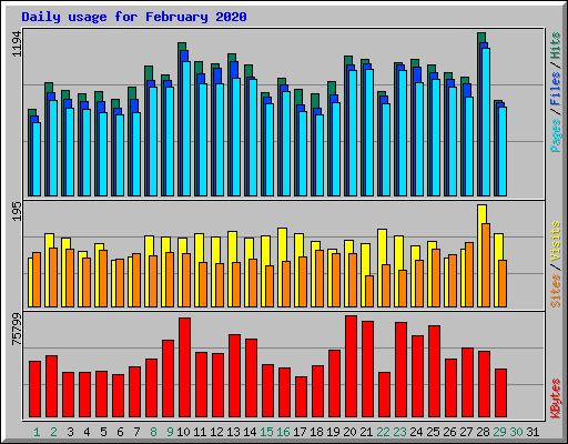 Daily usage for February 2020