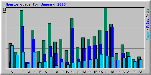 Hourly usage for January 2008