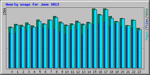 Hourly usage for June 2013