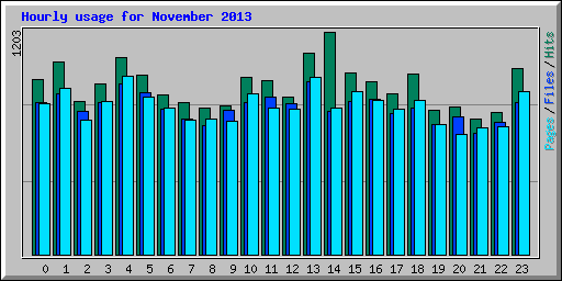 Hourly usage for November 2013