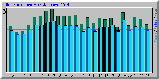 Hourly usage for January 2014