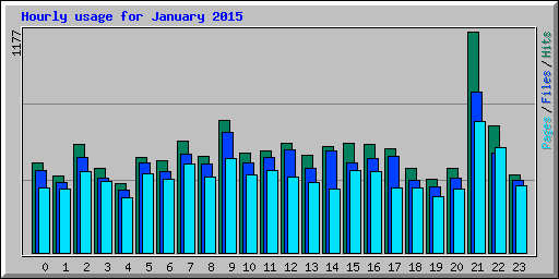 Hourly usage for January 2015