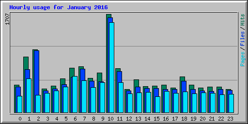 Hourly usage for January 2016