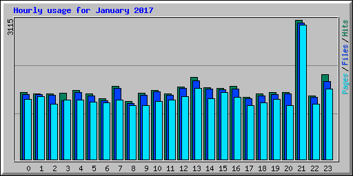 Hourly usage for January 2017
