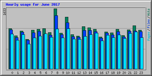 Hourly usage for June 2017