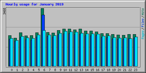 Hourly usage for January 2019
