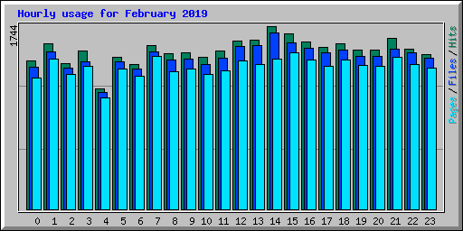 Hourly usage for February 2019