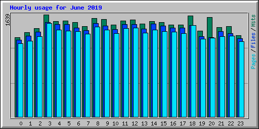 Hourly usage for June 2019