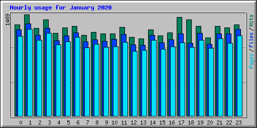 Hourly usage for January 2020