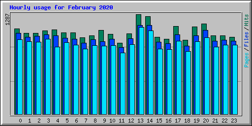 Hourly usage for February 2020