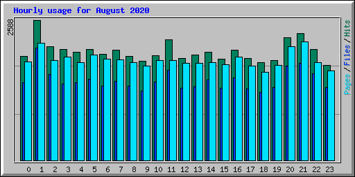 Hourly usage for August 2020