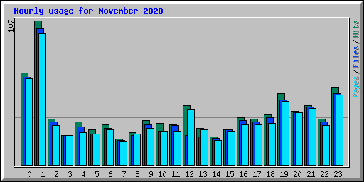 Hourly usage for November 2020